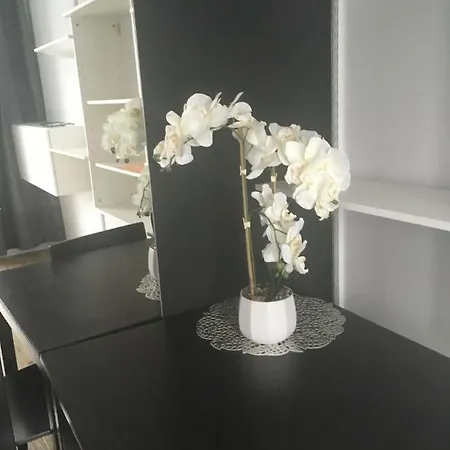 شقة Apartament Serafitek 6 بوزنان